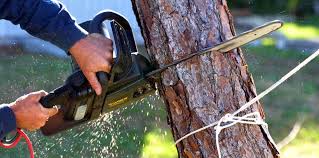 Best Hazardous Tree Removal  in Captains Cove, VA