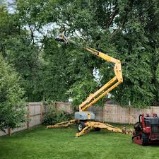 Best Lawn Maintenance Plans  in Captains Cove, VA